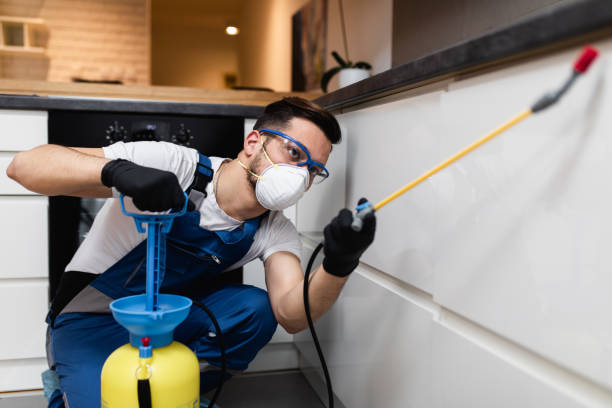 Best Affordable Pest Control Services  in Columbus Af, MS