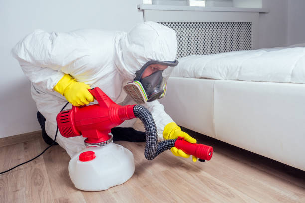 Best Best Pest Control Companies  in Columbus Af, MS