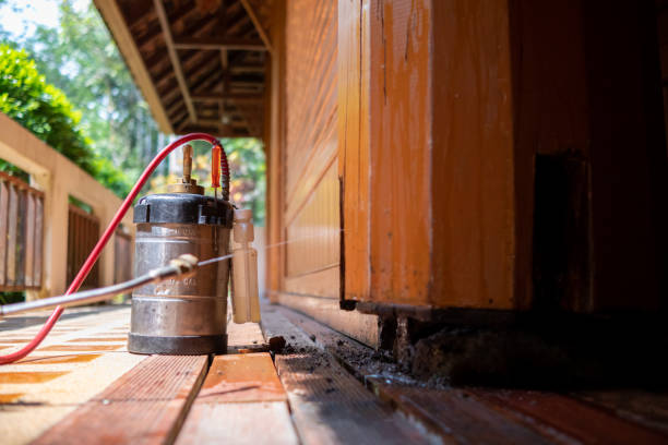 Best Pest Removal Services  in Columbus Af, MS