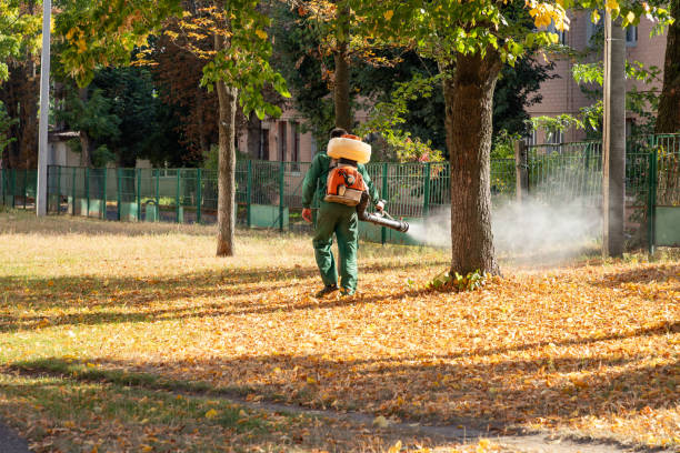 Best Bed Bug Extermination  in Columbus Af, MS