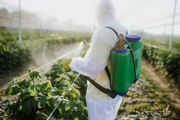 Insect Control in Columbus Af, MS